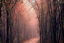 竞技宝:哈登17+8创纪录,雷霆横扫快船!小卡25+10,亚历山大29中7创神迹.