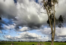 朱-霍勒迪:我努力保持侵略性 若我投篮命中 那其他队友都能命中.