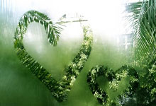 竞技宝:竞者 | 从湖北少女到奥运称王,子承父愿的郑钦文仍在超越自我.